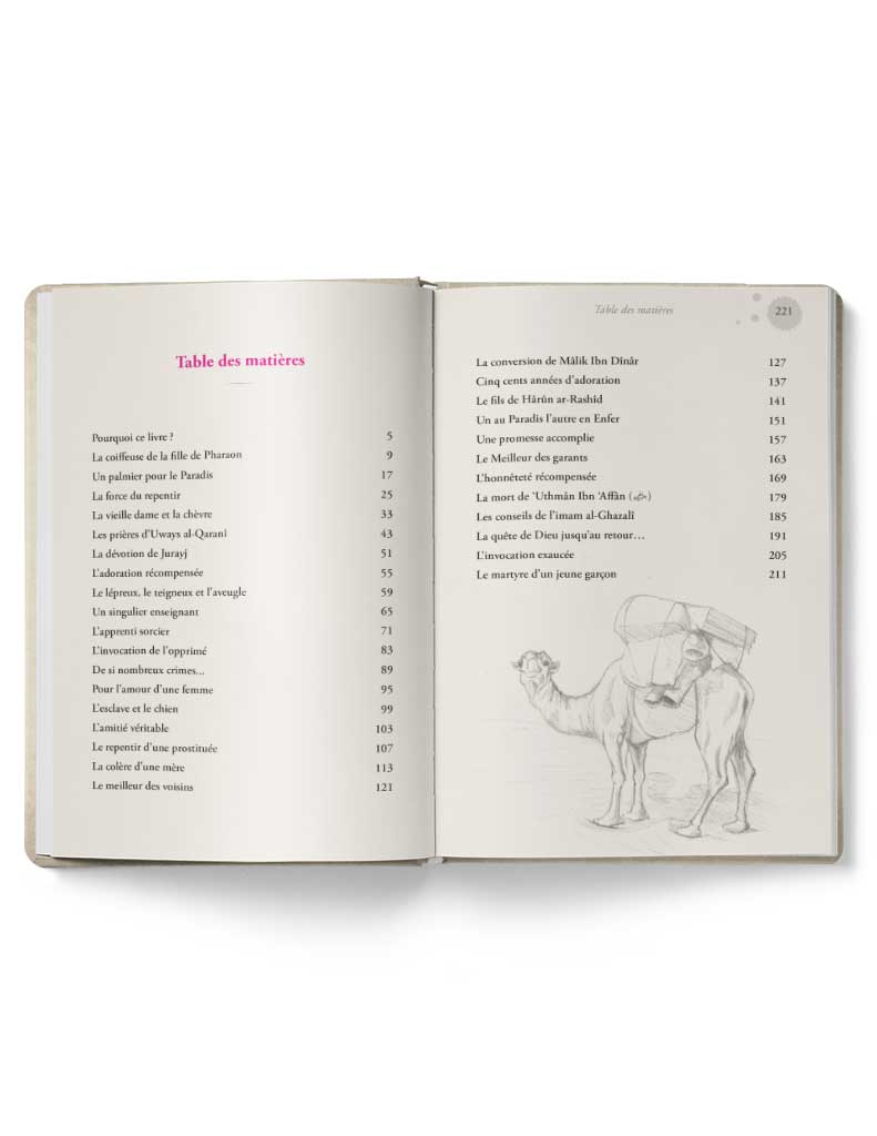 Ces héros de l'islam – Image 5