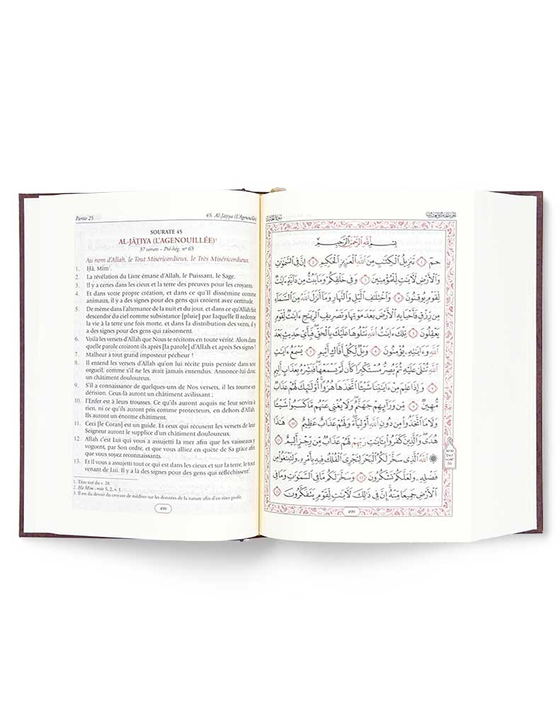 Noble Coran<br/> Hamidullah – Image 6